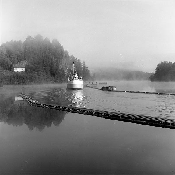 brume matinale sur l'eau