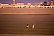 Agadir - Tanger - Nouadhibu