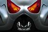 Chauve souris